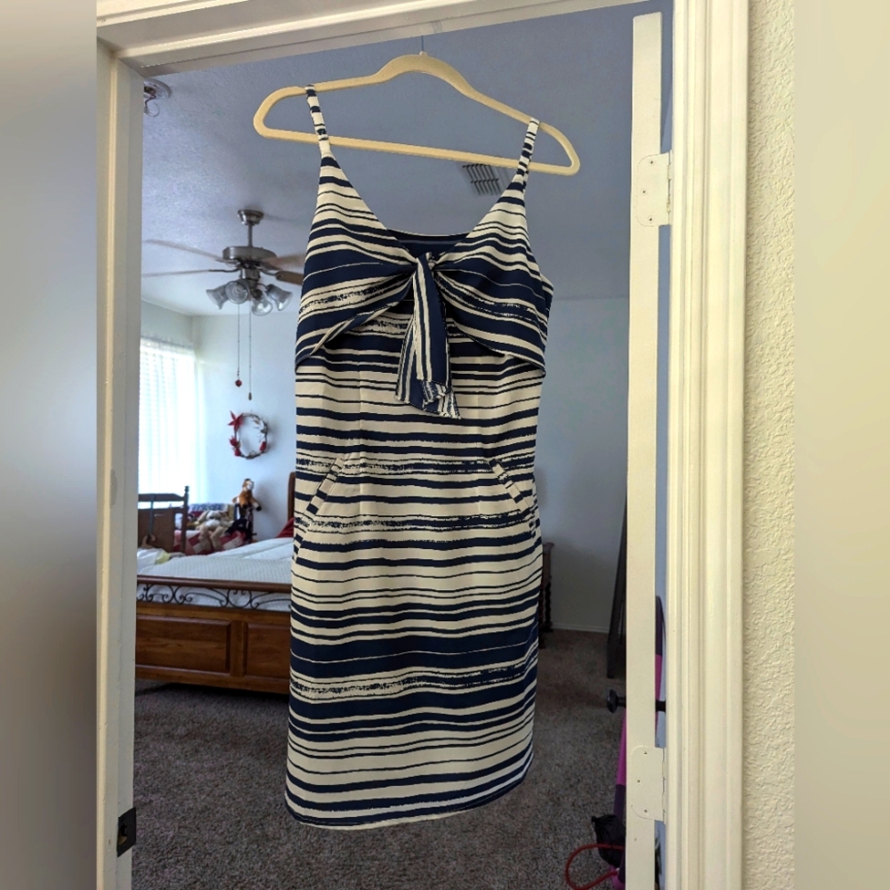 Cabi Sundress Blue and White Striped
